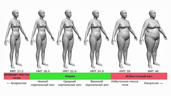 Степени ожирения по индексу массы тела