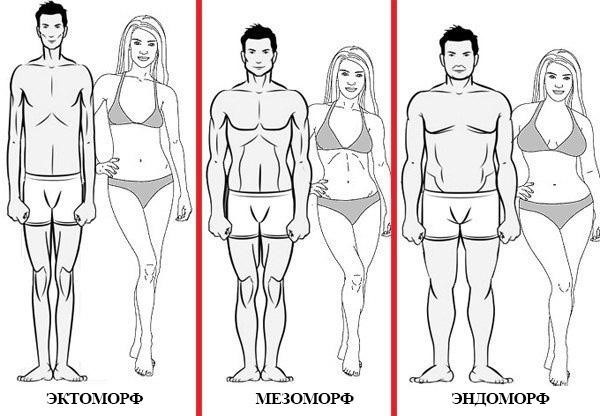 Типы телосложения: особенности