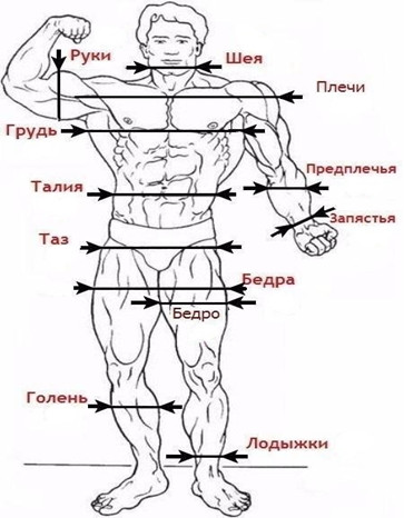 Как определить идеальные пропорции мужского тела