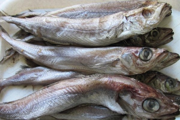 Рыба путассу: витамины и микроэлементы